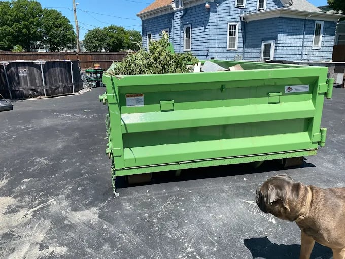 Green dumpster filled with yard waste, with a dog sitting nearby